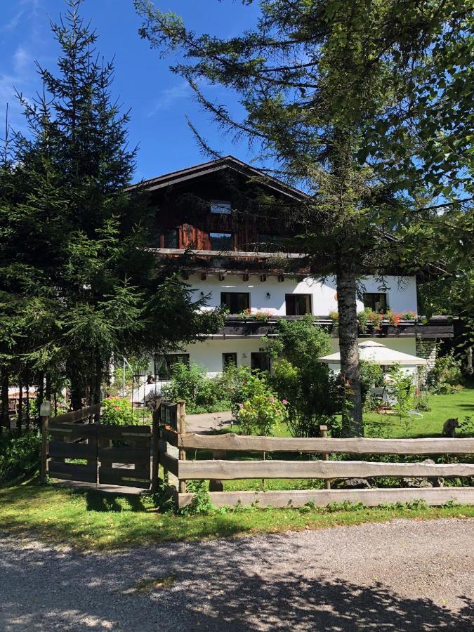 Grünau im AlmtalBuehlhaeusl公寓 外观 照片