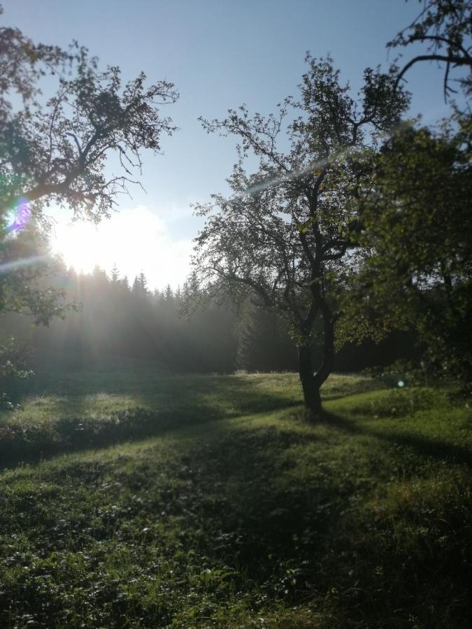 Grünau im AlmtalBuehlhaeusl公寓 外观 照片